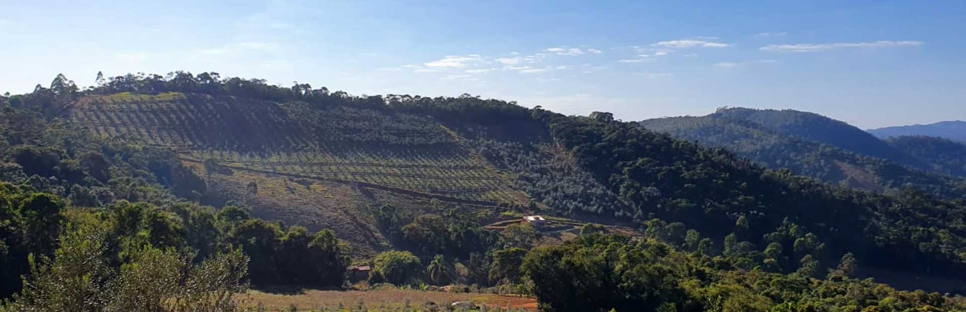 Associação dos Olivicultores dos Contrafortes da Mantiqueira - Assoolive