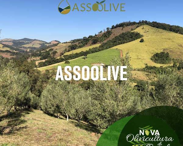 ASSOOLIVE - Associação dos Olivicultores dos Contrafortes da Mantiqueira