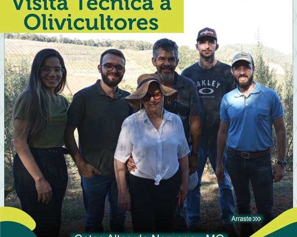 Olivicultores de Catas altas da Noruega - MB