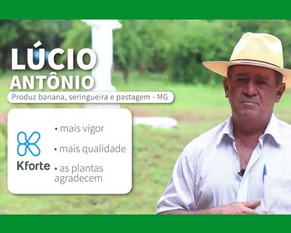 K Forte®, fonte de potássio para lavoura