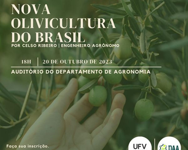 Nova Olivicultura do Brasil em Viçosa MG